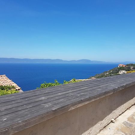 Studio Climatise Ile Naturiste Du Levant Єр Екстер'єр фото